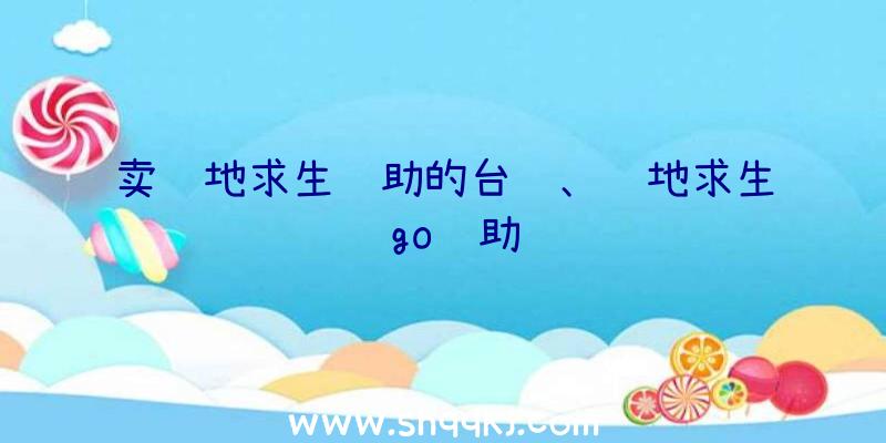 卖绝地求生辅助的台词、绝地求生